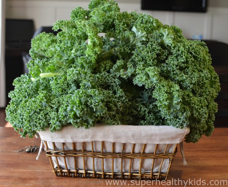 DIY: Super Greens Powder. For parents who want concentrated nutrients, without high priced supplements!